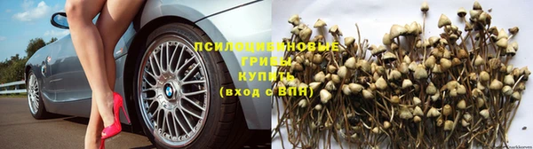 Альфа ПВП Алексеевка
