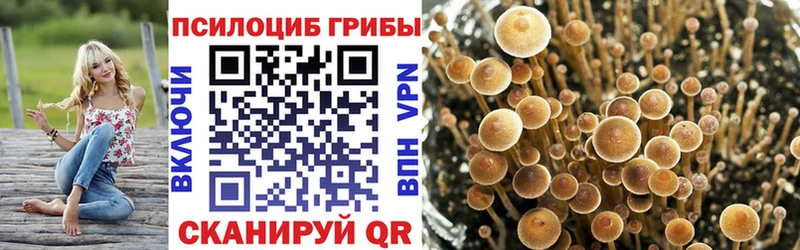 Галлюциногенные грибы мицелий  закладки  omg как зайти  Карабаш 